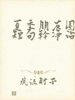 夏季朋友圈文案短句干净治愈阳光