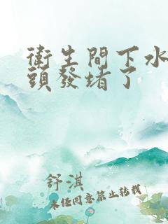 卫生间下水道被头发堵了