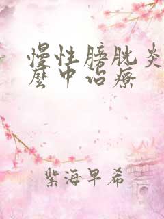 慢性膀胱炎用什么中治疗