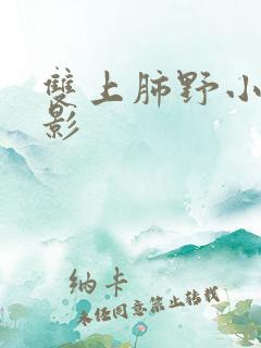 双上肺野小结节影