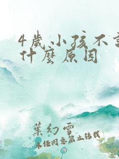 4岁小孩不说话什么原因