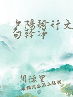 夕阳骑行文案短句干净