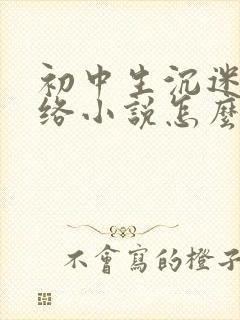 初中生沉迷于网络小说怎么办