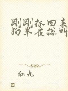 刚刚抓回来的小狗半夜总叫怎么办