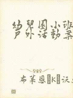 幼儿园小班优秀户外活动案例