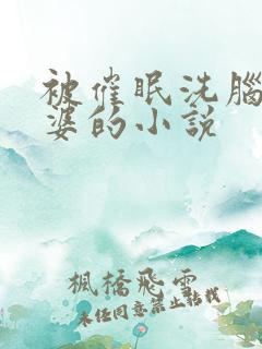 被催眠洗脑的老婆的小说