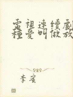 电视连续剧有一种爱叫做放手