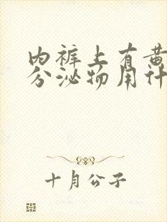 内裤上有黄绿色分泌物用什么原因