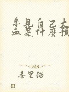 梦见自己大便拉血是什么预兆