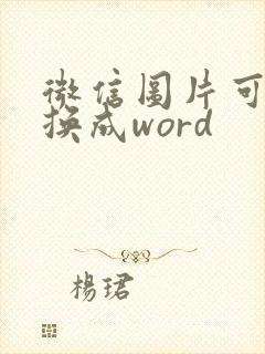 微信图片可以转换成word
