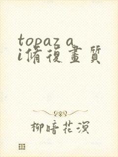 topaz ai修复画质