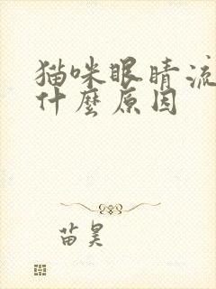 猫咪眼睛流眼泪什么原因