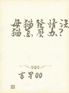 母猫发情没有公猫怎么办?