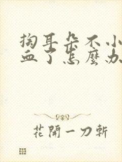 掏耳朵不小心出血了怎么办