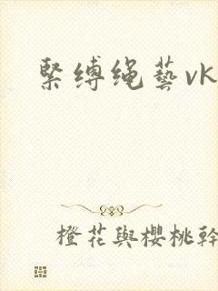 紧缚绳艺vk