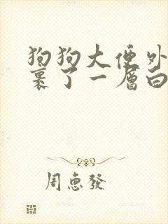 狗狗大便外面包裹了一层白膜