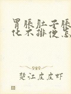 胃胀肚子胀不消化不排便怎么办