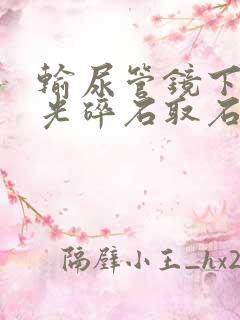 输尿管镜下钬激光碎石取石术