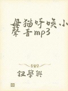 母猫呼唤小猫的声音mp3