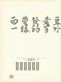 白带发黄豆腐渣一样的有外阴痒怎么治疗