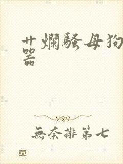 艹烂骚母狗肉便器