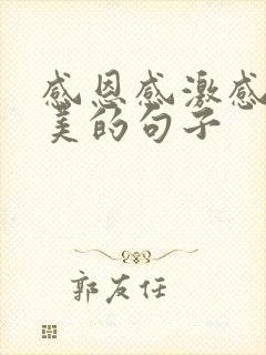 感恩感激感谢唯美的句子