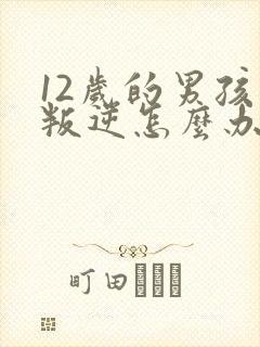 12岁的男孩子叛逆怎么办