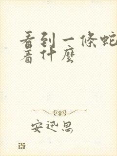 看到一条蛇预示着什么