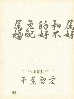 属兔的和属牛的婚配好不好