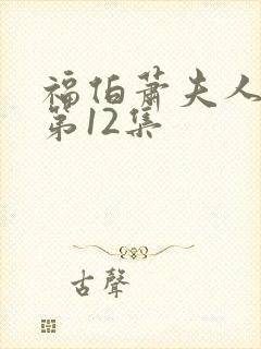 福伯萧夫人番外第12集