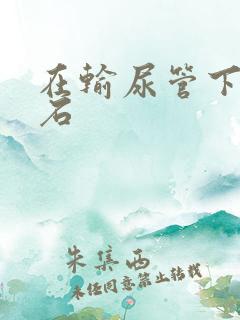 在输尿管下段结石