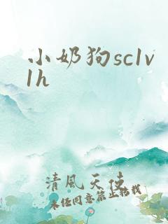 小奶狗sc1v1h