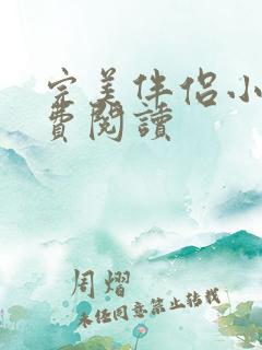 完美伴侣小说免费阅读