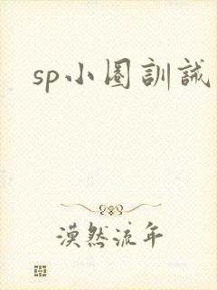 sp小圈训诫文
