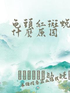 龟头红斑蜕皮是什么原因