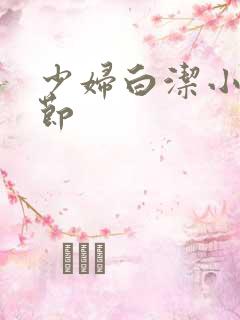 少妇白洁小说章节