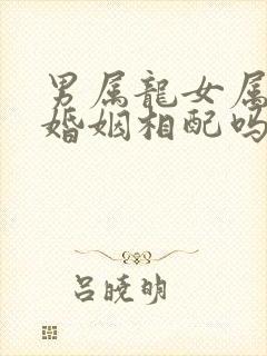 男属龙女属兔的婚姻相配吗