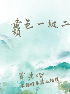 黄色一级二级视频