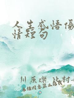 人生感悟伤感心情短句