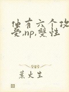 他有六个攻【总受,np,双性