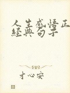 人生感悟正能量经典句子