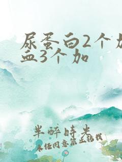 尿蛋白2个加潜血3个加