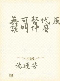 无可替代原著小说叫什么