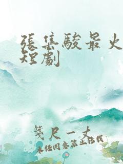 张集骏最火十部短剧