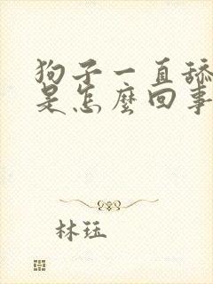 狗子一直舔爪子是怎么回事