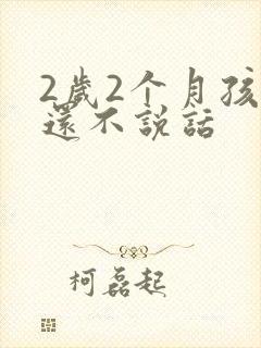 2岁2个月孩子还不说话