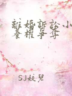 离婚诉讼小孩抚养权争夺