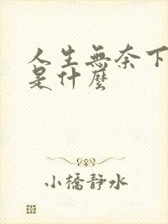 人生无奈下一句是什么