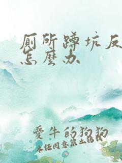 厕所蹲坑反臭味怎么办