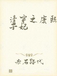 清穿之康熙与太子妃